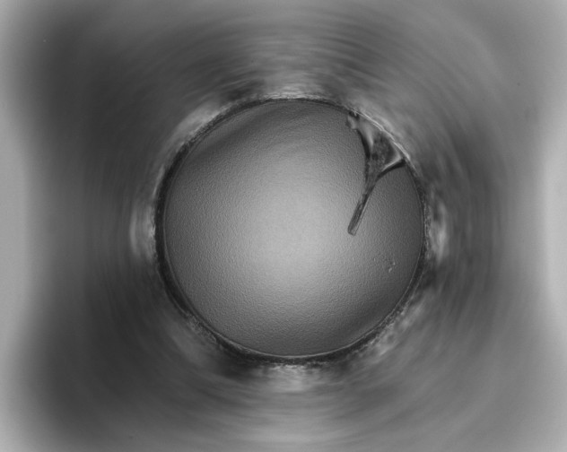 X0000096660298200802261349