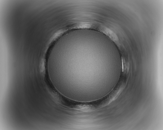 X0000096660300200802261349