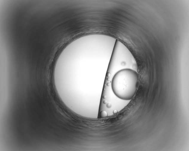 X0000096660303200802261349