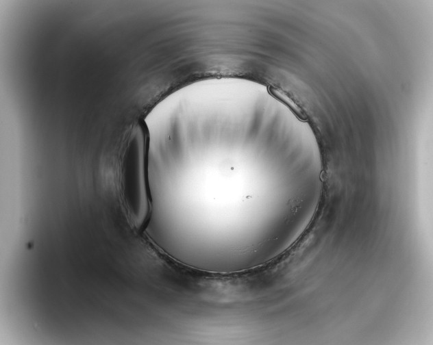 X0000096660305200802261349