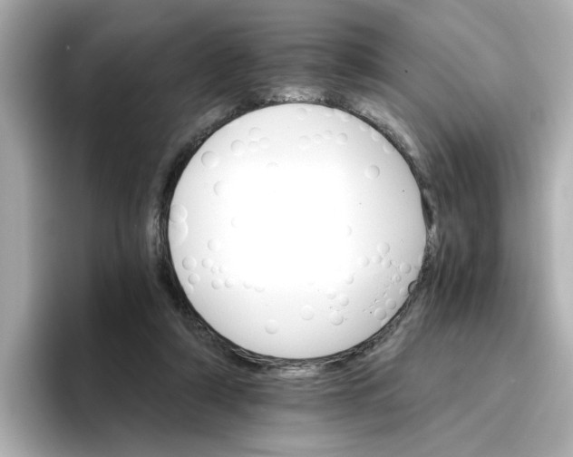 X0000096660306200802261349