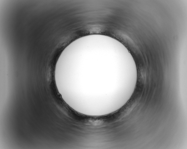 X0000096660311200802261349