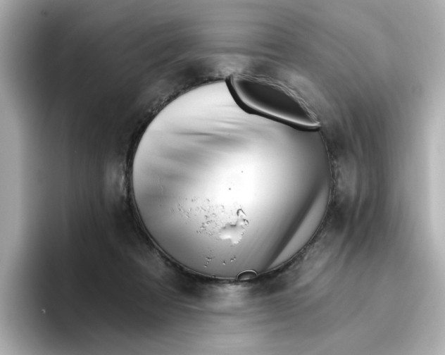 X0000096660313200802261349