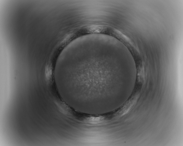 X0000096660314200802261349