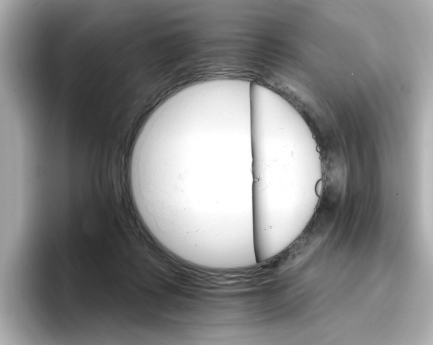 X0000096660315200802261349