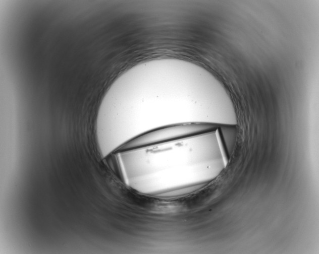 X0000096660316200802261349