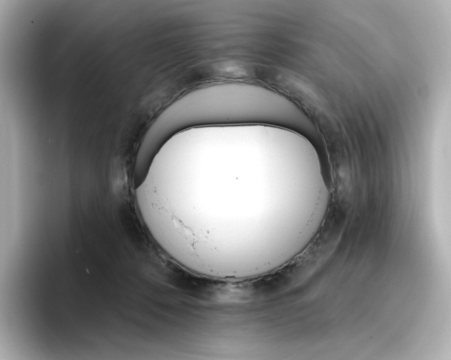 X0000096660320200802261348