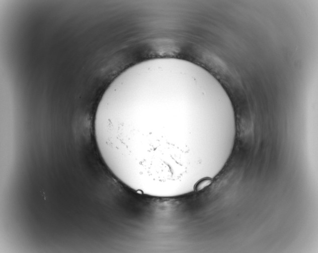 X0000096660321200802261348