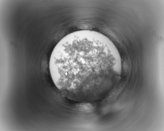 X0000096660322200802261348