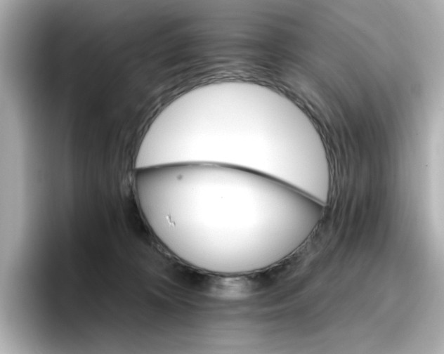 X0000096660324200802261348