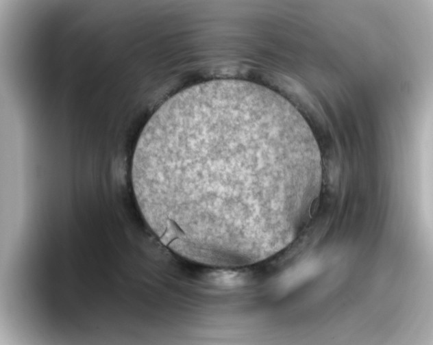 X0000096660326200802261348