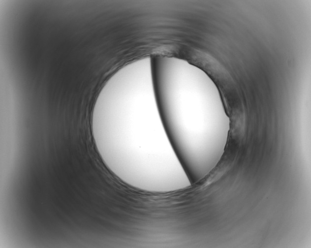 X0000096660329200802261348