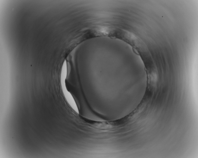 X0000096660331200802261348