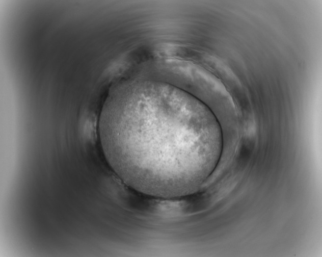 X0000096660332200802261348