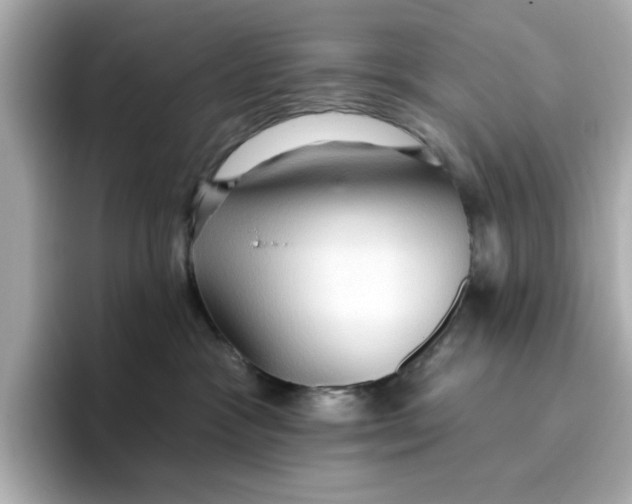 X0000096660333200802261348