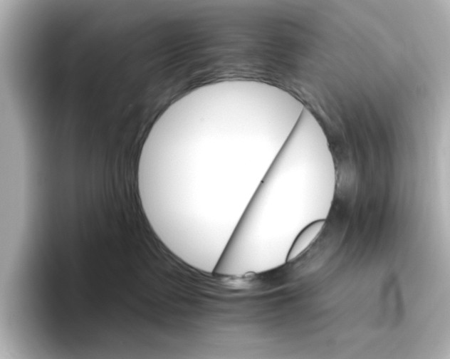 X0000096660335200802261348