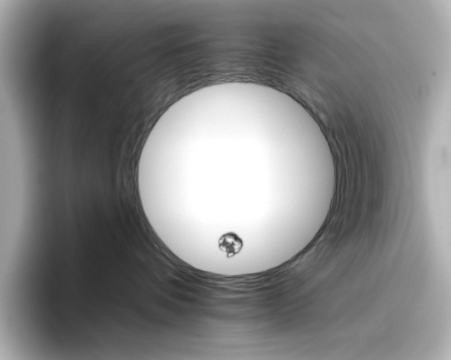 X0000096660336200802261348