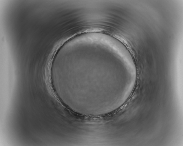 X0000096660337200802261348