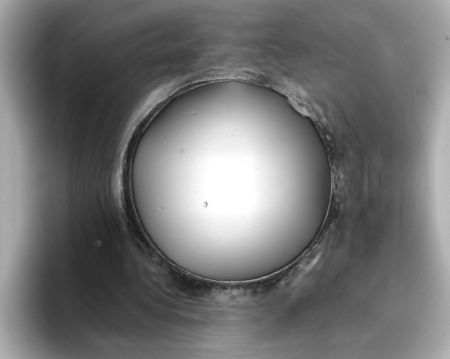 X0000096660340200802261348