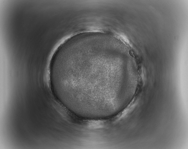 X0000096660342200802261348