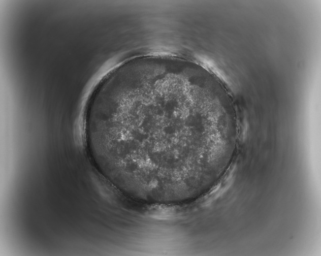 X0000096660343200802261348