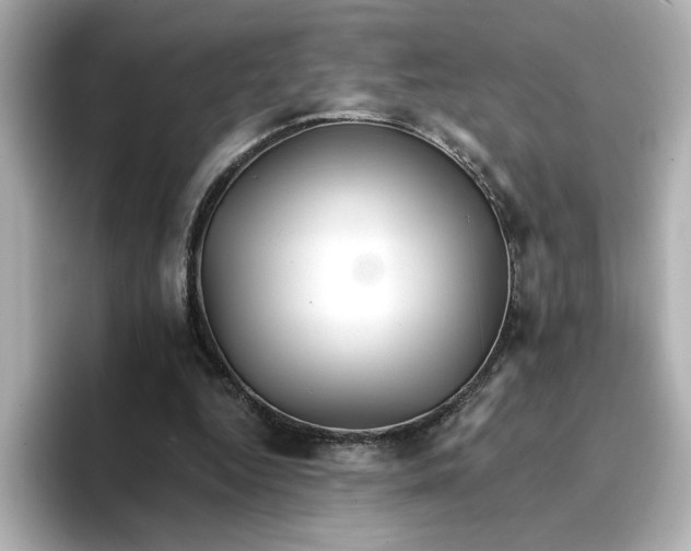 X0000096660344200802261348