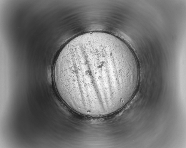 X0000096660345200802261348