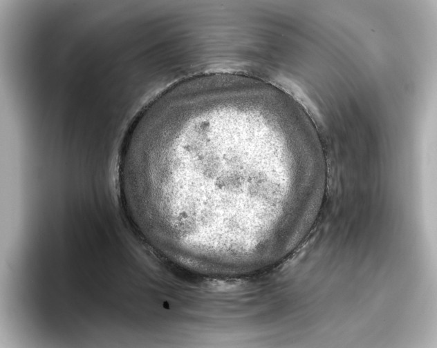 X0000096660346200802261348