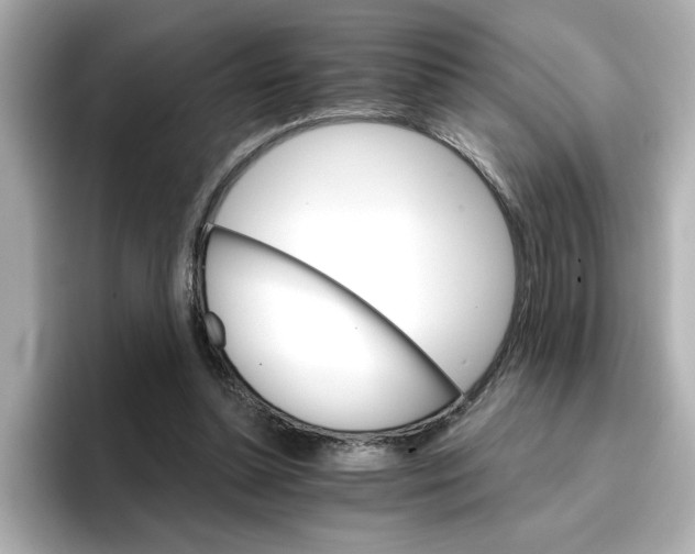 X0000096660348200802261348