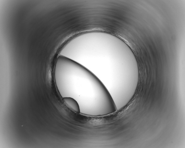 X0000096660350200802261348