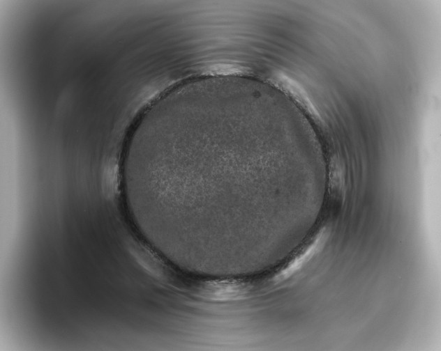 X0000096660351200802261348