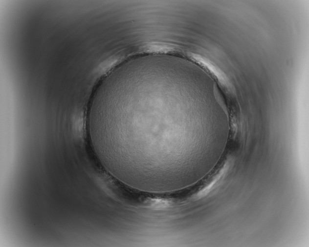 X0000096660352200802261348