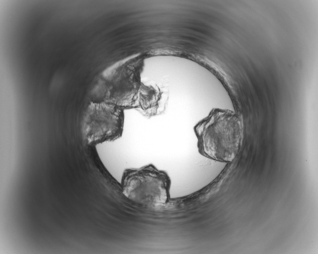 X0000096660353200802261348