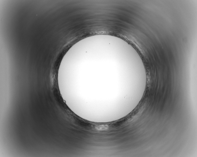 X0000096660355200802261348