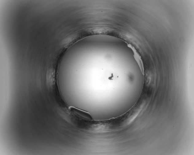 X0000096660356200802261348