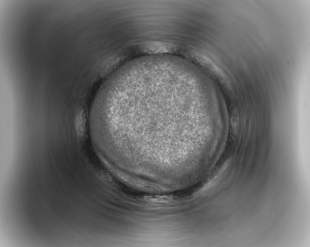 X0000096660359200802261348