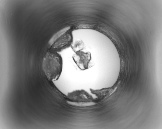 X0000096660361200802261348