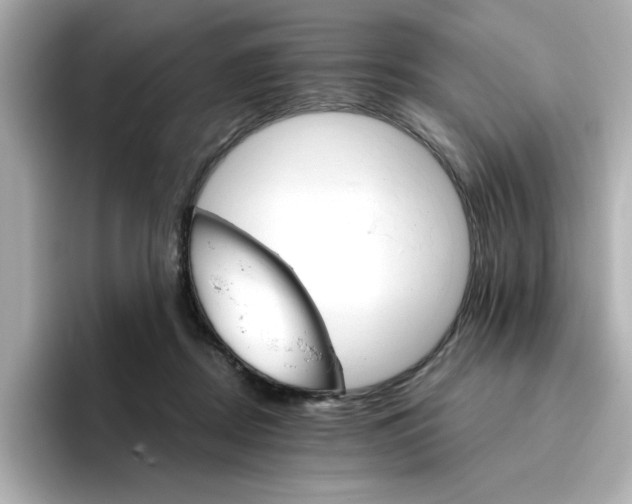 X0000096660362200802261348