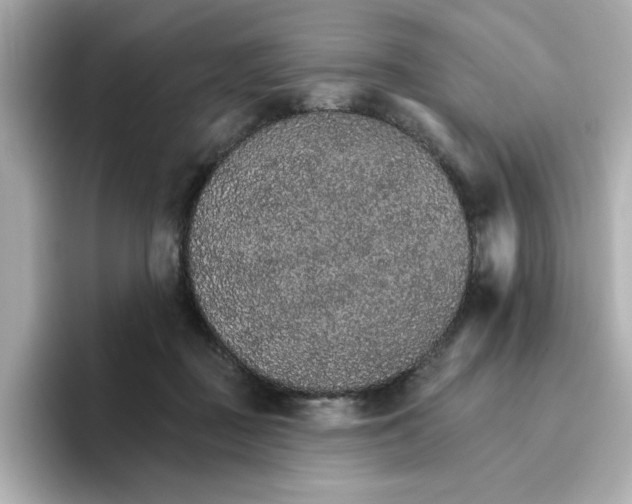 X0000096660363200802261348