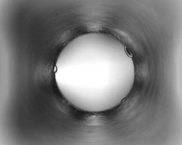 X0000096660364200802261348