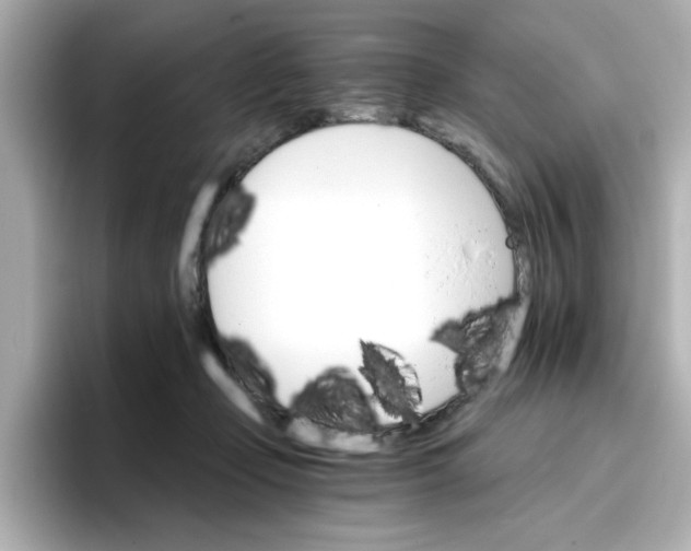 X0000096660365200802261348