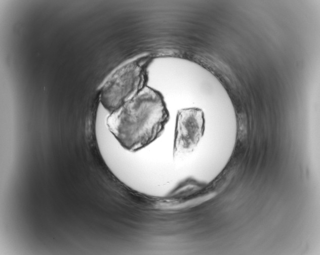 X0000096660369200802261348