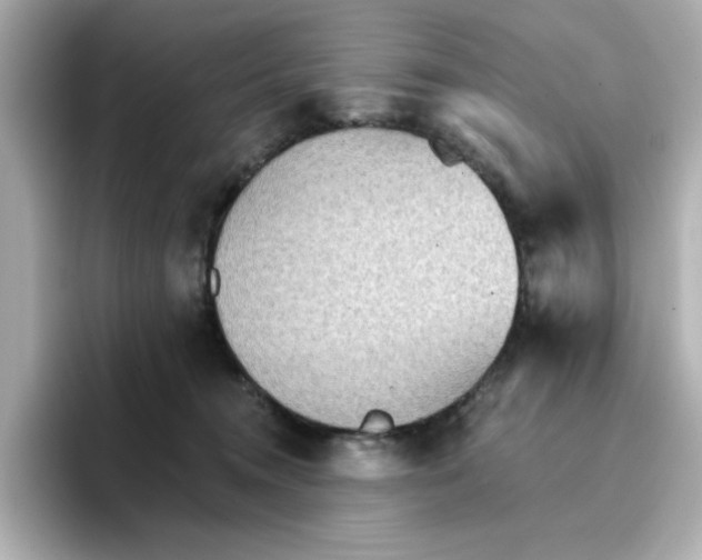 X0000096660372200802261348