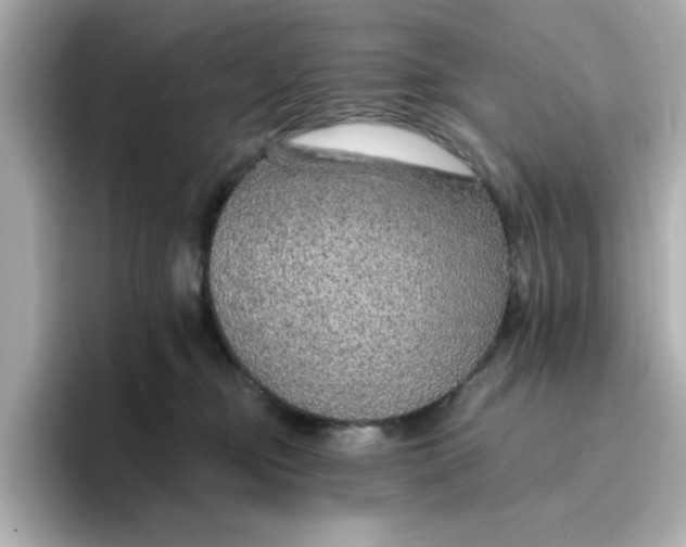 X0000096660374200802261348