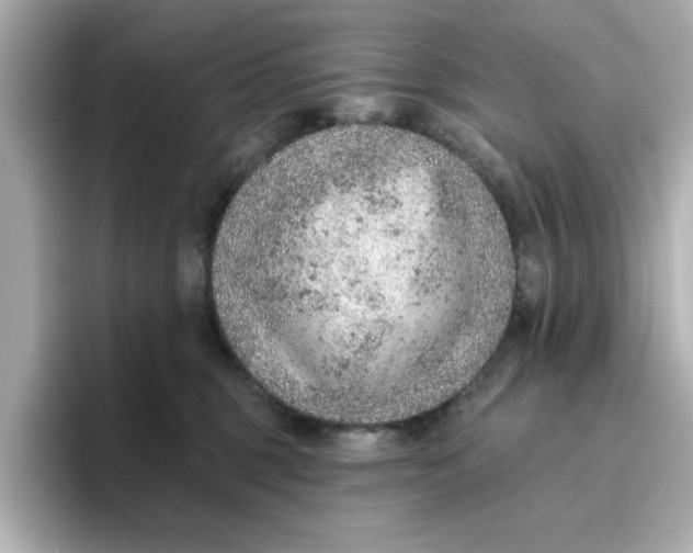 X0000096660375200802261348