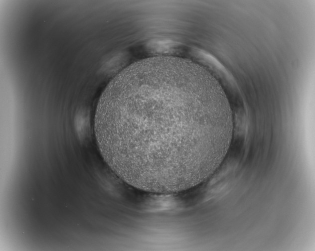 X0000096660377200802261348