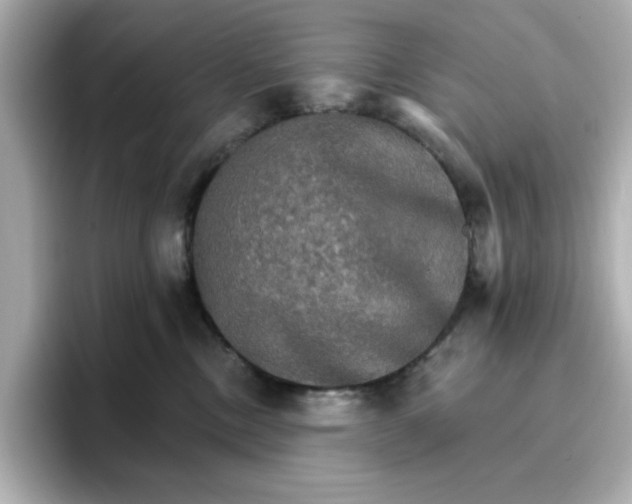 X0000096660378200802261348