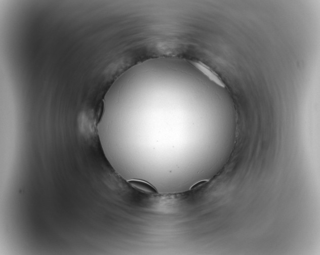 X0000096660384200802261348