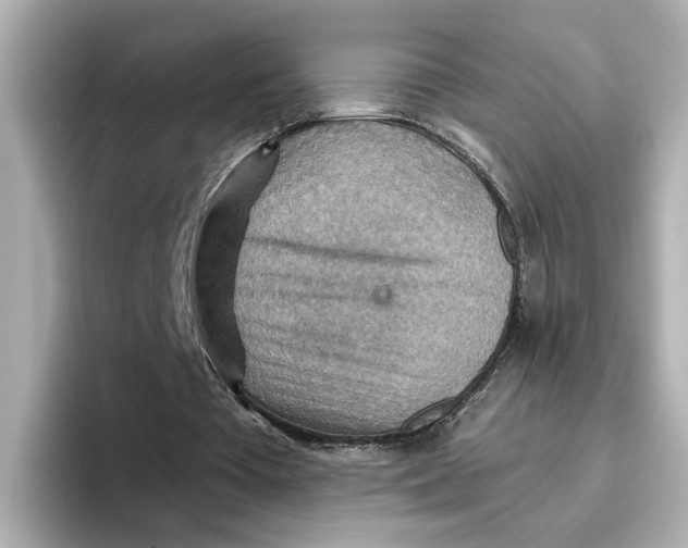 X0000096660385200802261348