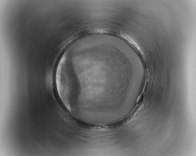 X0000096660386200802261348